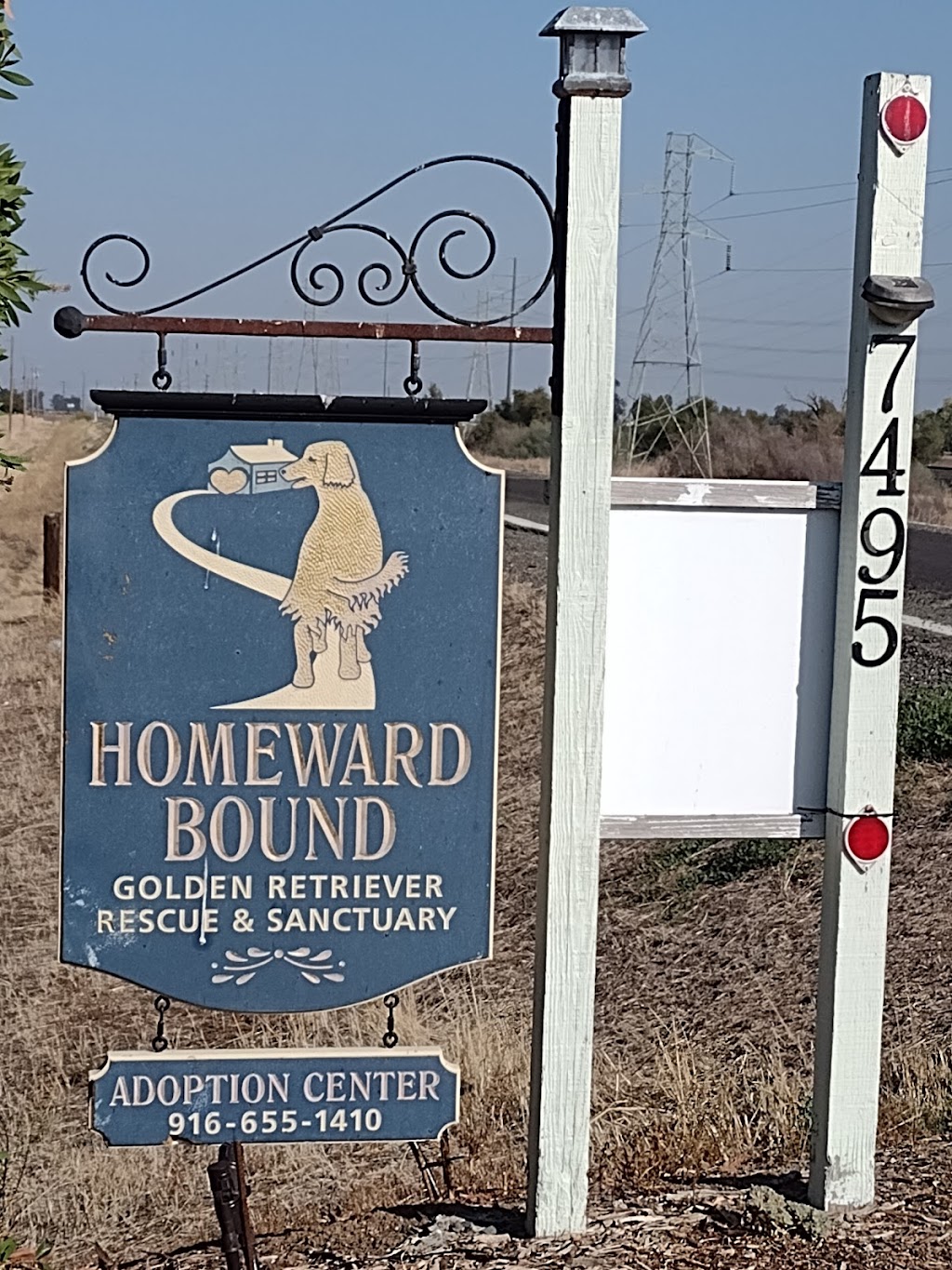 Homeward Bound Golden Retriever Rescue & Sanctuary | 7495 Natomas Rd, Elverta, CA 95626, USA | Phone: (916) 655-1410