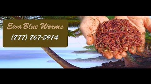 Ewa Blue Worms | 92-334 Akaula St, Kapolei, HI 96707, USA | Phone: (808) 672-3989