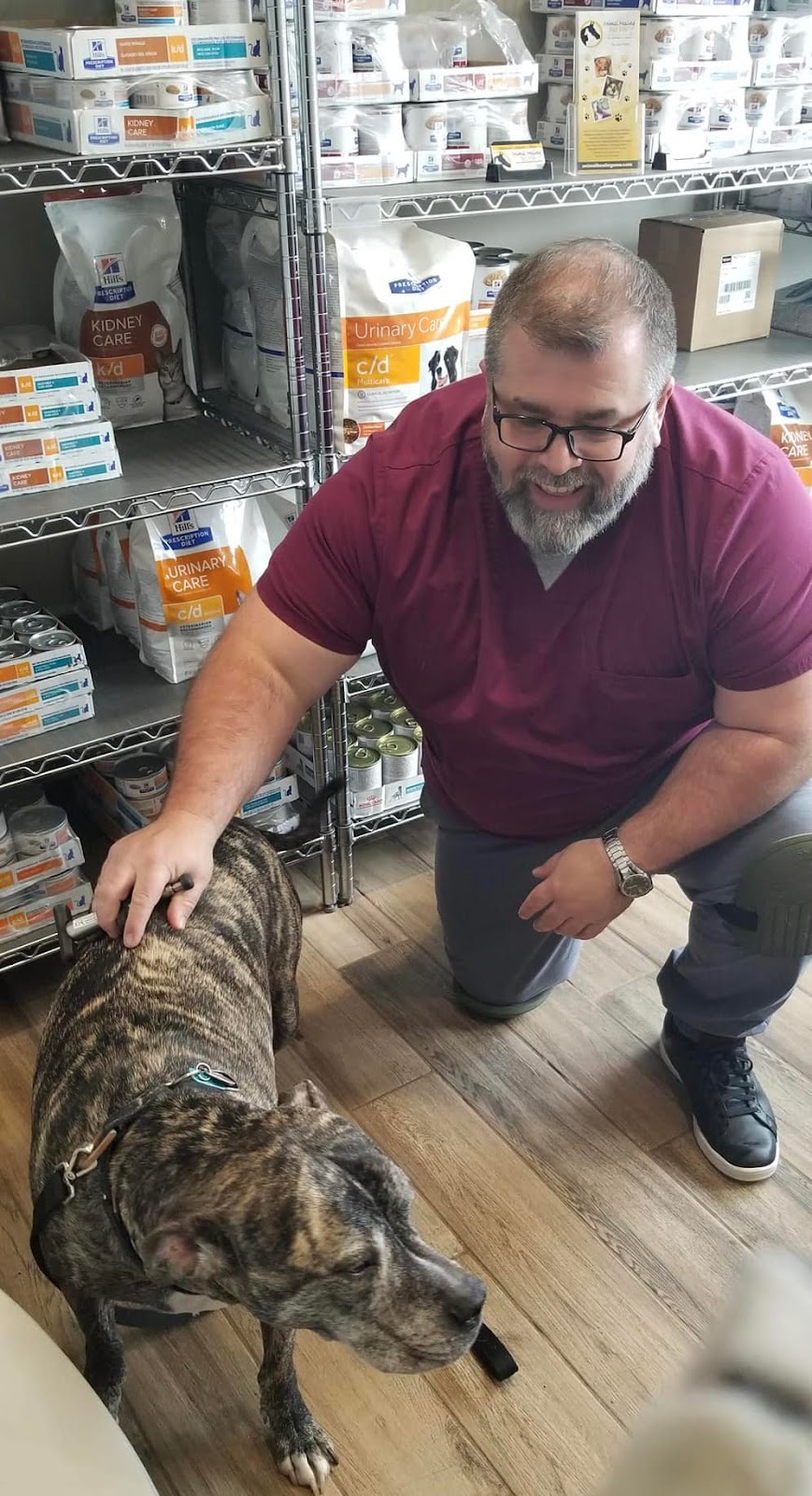 Animal Healing NOW with Dr. Michael Savko | Veterinary Service, 119 Stan Ave, New Stanton, PA 15672, USA | Phone: (724) 261-7915