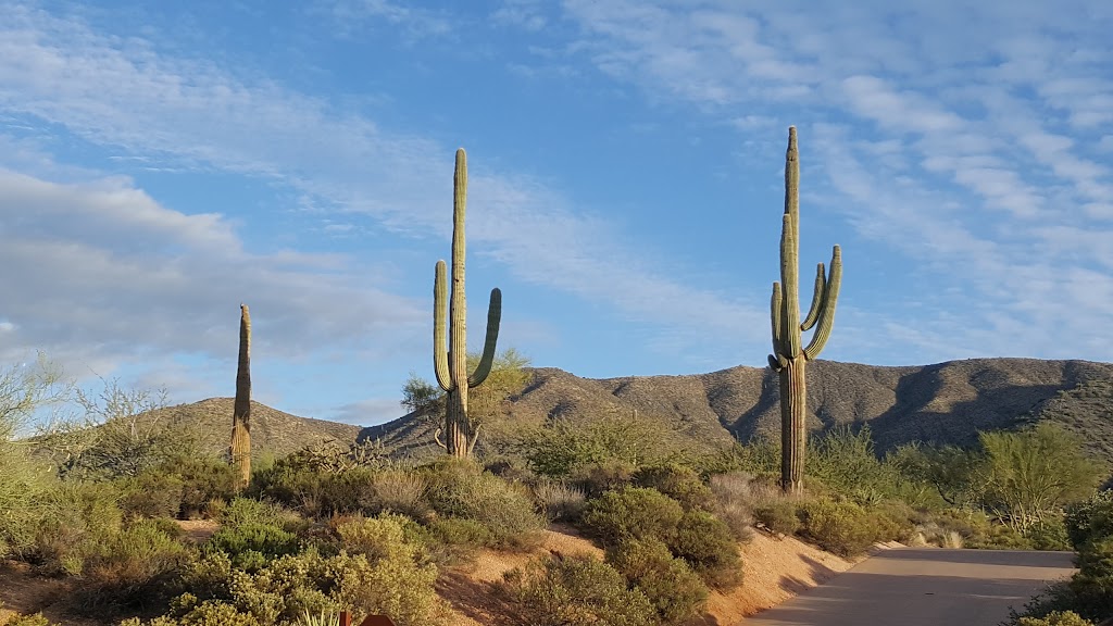Arizona Desert Dream Homes-Tami Henderson | 10417 E Honey Mesquite Dr, Scottsdale, AZ 85262, USA | Phone: (480) 341-2815
