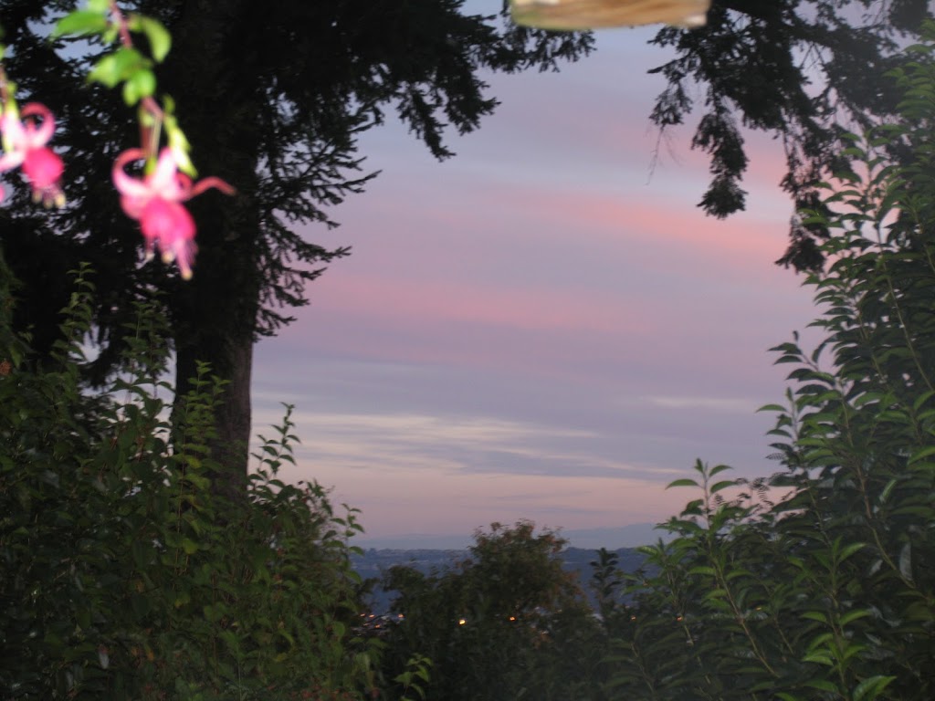 Mike Lind Law Office | 3124 E Valley View Terrace, Tacoma, WA 98404, USA | Phone: (253) 224-7590