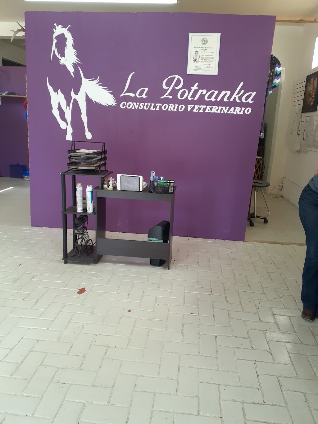 Veterinaria La Potranka - veterinary care  | Photo 2 of 4 | Address: C. Perú 1004, viveros, 88000 Nuevo Laredo, Tamps., Mexico | Phone: 867 242 6264