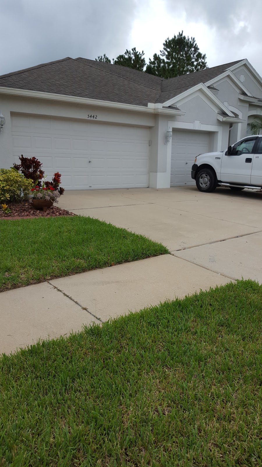 Michelle Moreno, P.A. | 5450 Spectacular Bid Dr, Wesley Chapel, FL 33544 | Phone: (813) 523-6613