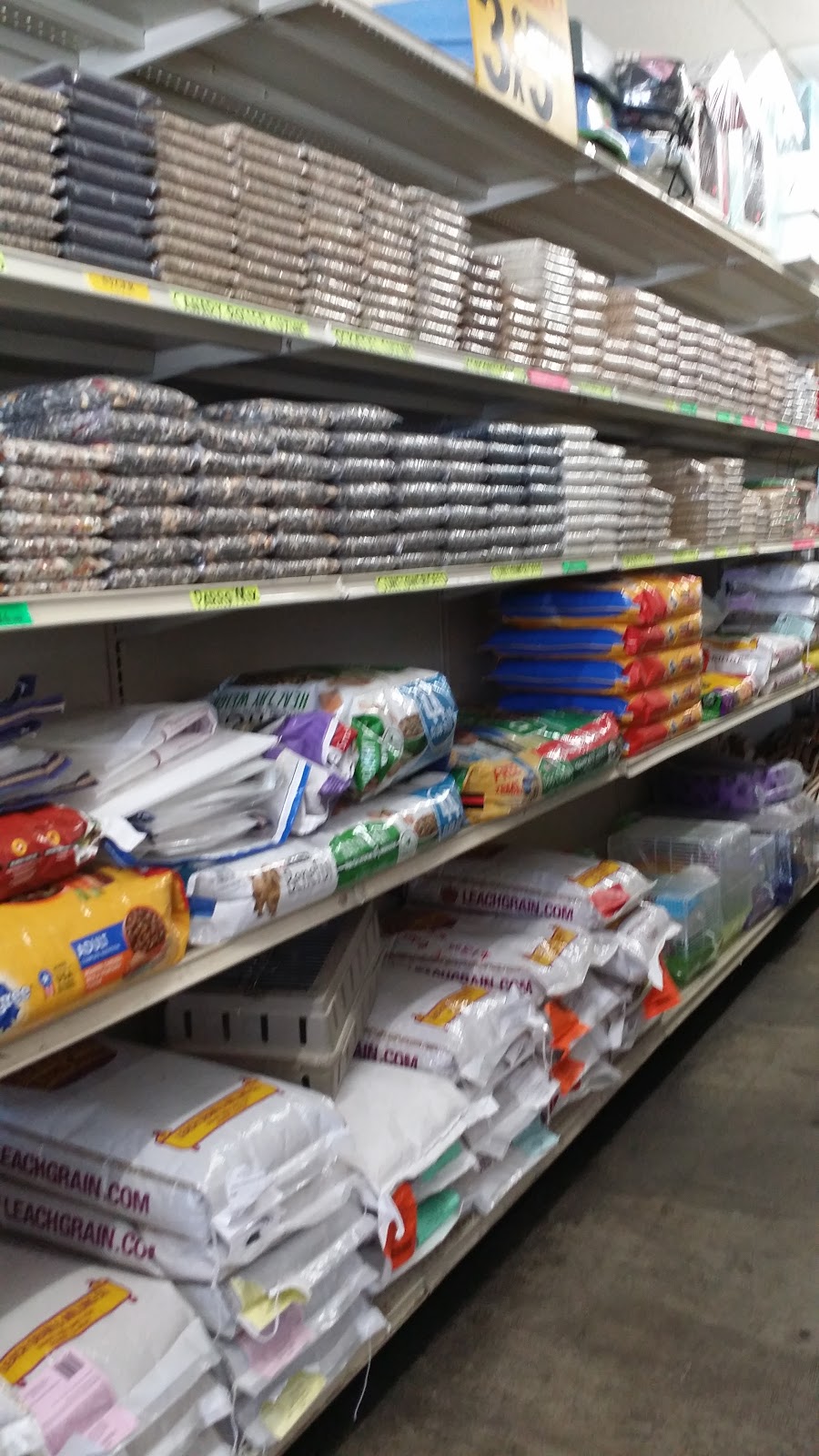 Villas Pet Shop | 10508 E Garvey Ave, El Monte, CA 91733, USA | Phone: (323) 482-6278