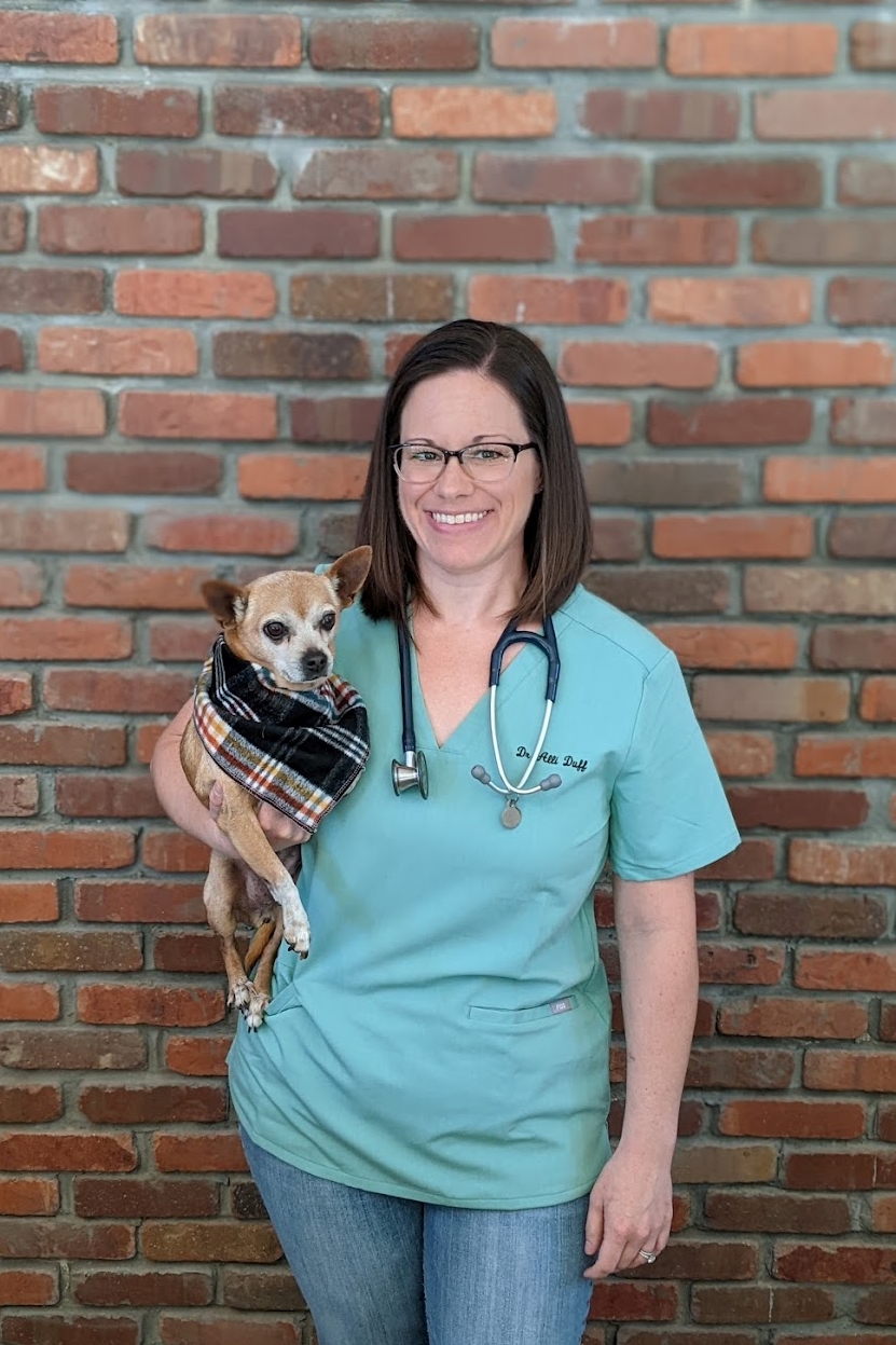 South Main Veterinary Hospital | 6 Main St, Sutter Creek, CA 95685, USA | Phone: (209) 560-9142