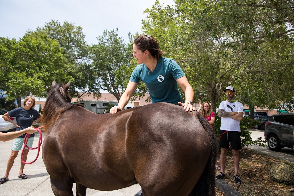 Wild Life Chiropractic | 3150 N Wickham Rd #5, Melbourne, FL 32935, USA | Phone: (321) 750-8850