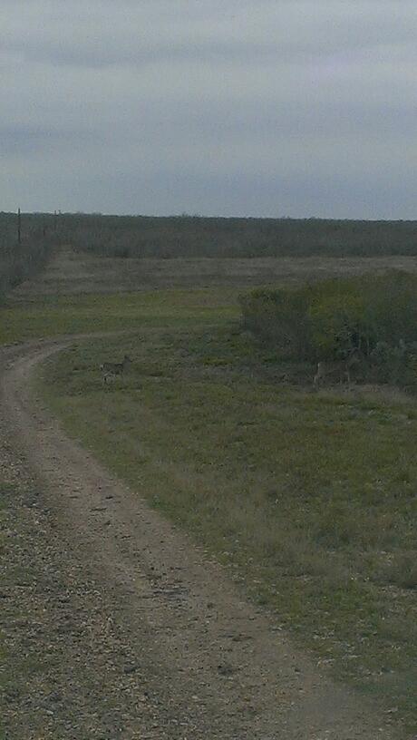 La Leyenda Ranch | Miles Rd, Tilden, TX 78072, USA | Phone: (713) 202-5348