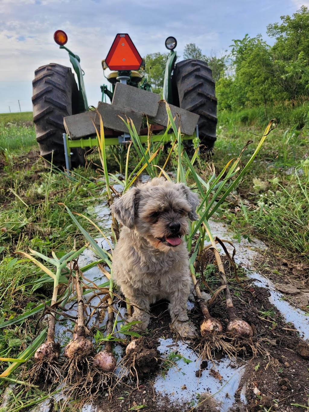 Southern Wisconsin Organics LLC | 5113 US-14, Janesville, WI 53546 | Phone: (608) 295-3849