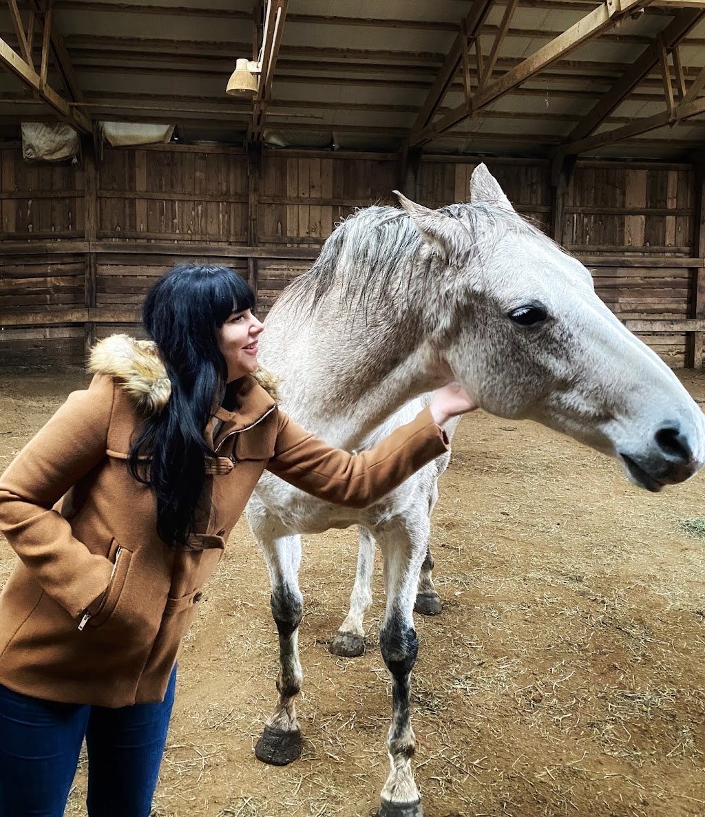 Equine Therapeutic Interaction and Reiki | The Sanctuary at Wild Rose Acres, Morgan Center Rd, Mt Vernon, OH 43050, USA | Phone: (740) 507-7718