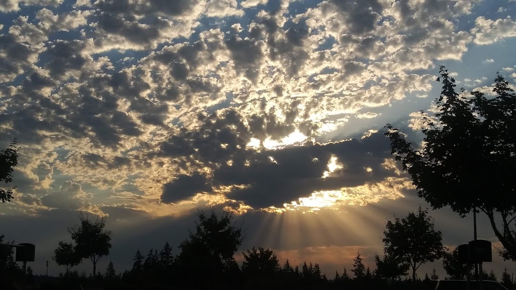 The Home Depot | 21750 Market Pl NW, Poulsbo, WA 98370, USA | Phone: (360) 779-9924 The Home Depot | 21750 Market Pl NW, Poulsbo, WA 98370, USA | Phone: (360) 779-9924