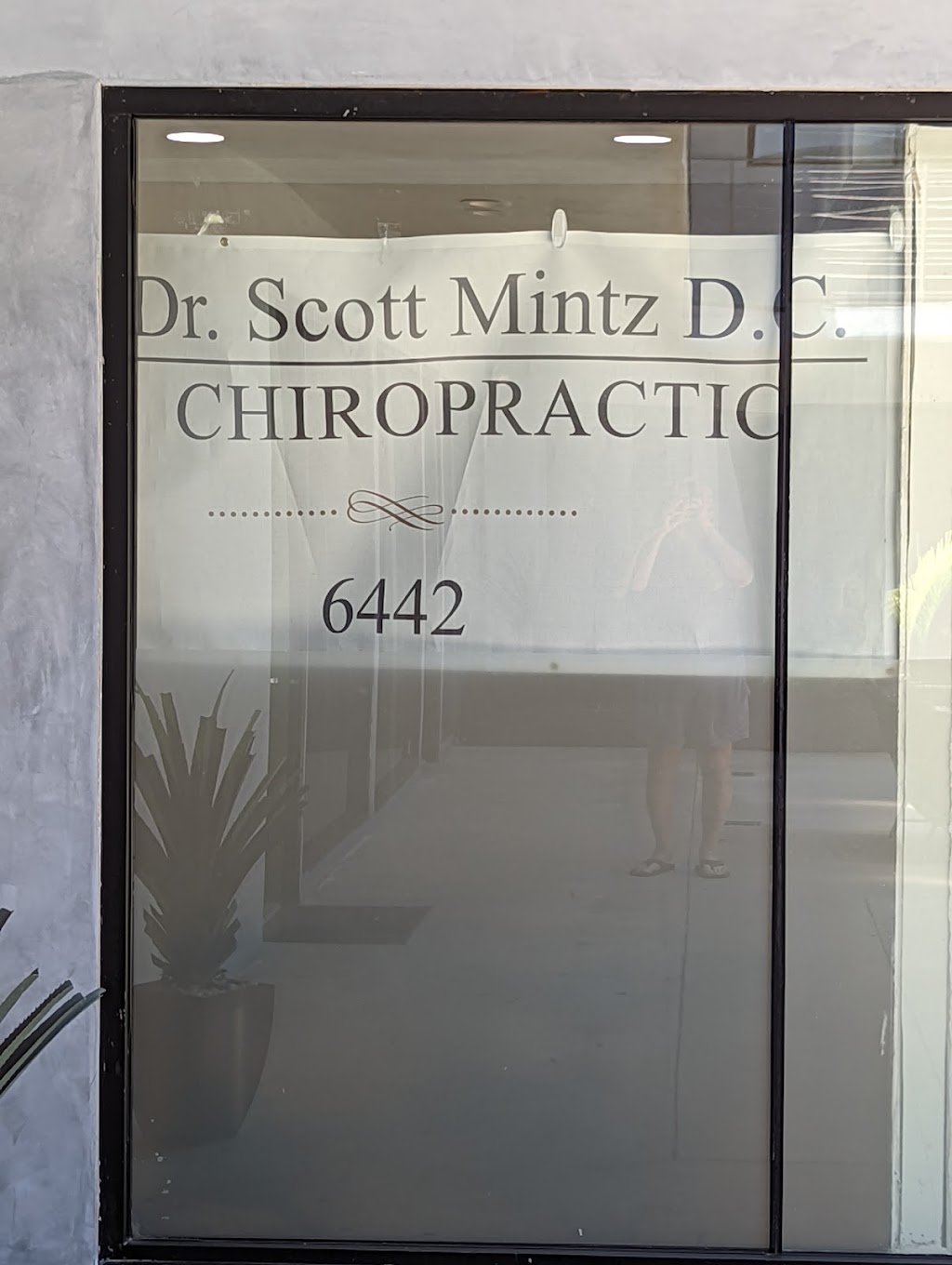 scott r mintz d.c. | 6442 Coldwater Canyon Ave, North Hollywood, CA 91606, USA | Phone: (818) 321-5321