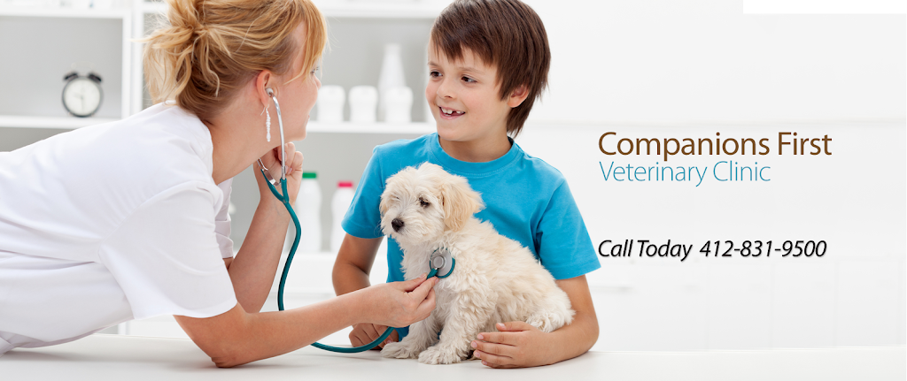 Companions First Vet Clinic | 6360 Library Rd, South Park Township, PA 15129, USA | Phone: (412) 831-9500
