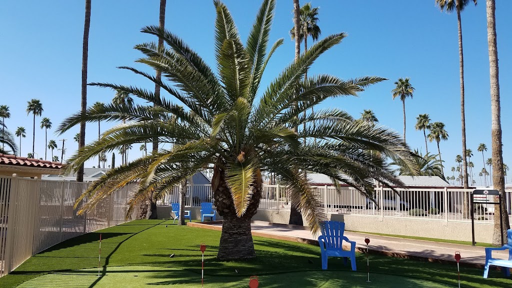 Palm Gardens 55+ Manufactured Housing Community & RV Resort | 2929 E Main St, Mesa, AZ 85213, USA | Phone: (480) 832-0290