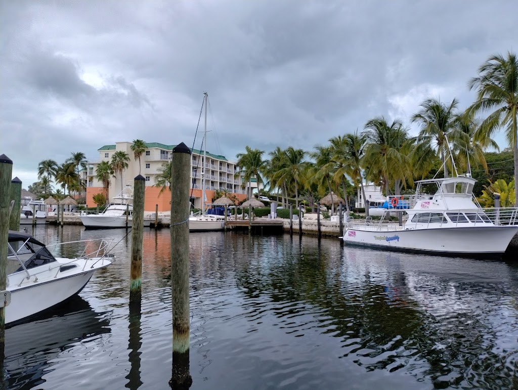 Sharkey’s Sharkbite Grill | 522 Caribbean Dr, Key Largo, FL 33037, USA | Phone: (305) 453-0999