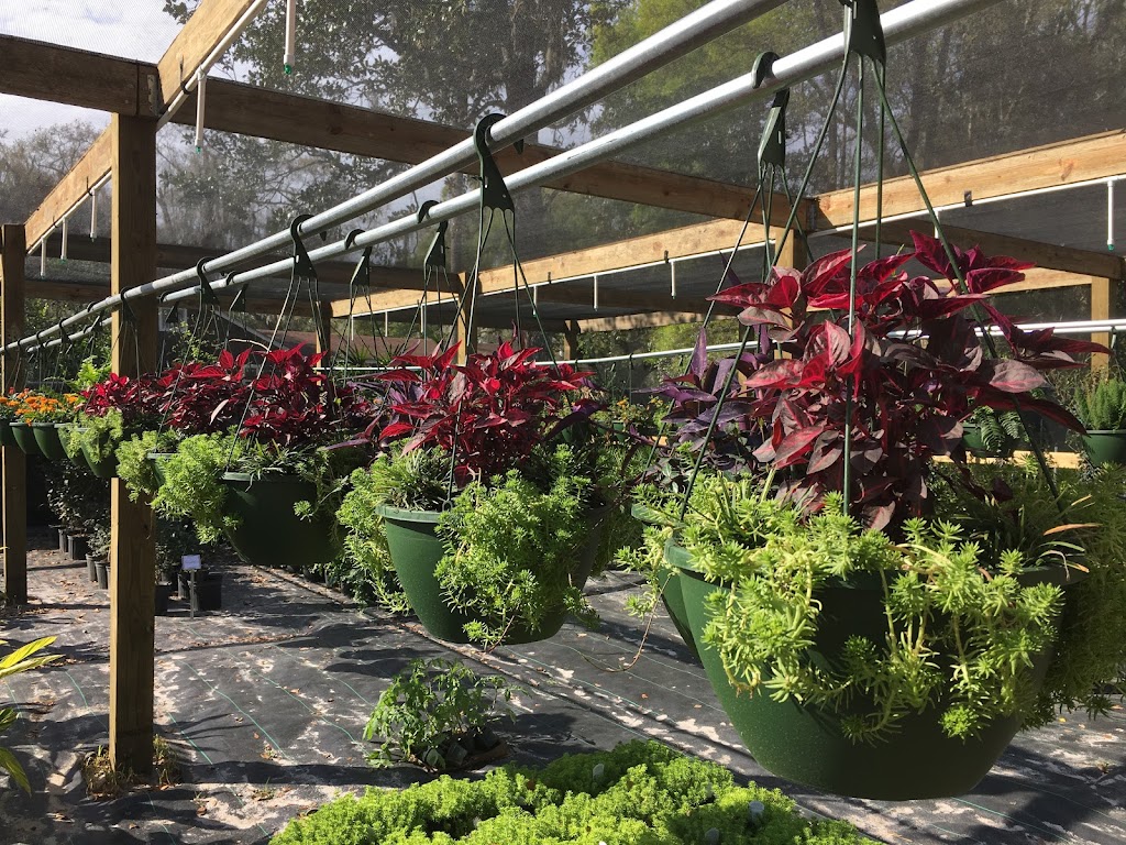 CML Garden Center | 10181 N Broad St, Brooksville, FL 34601, USA | Phone: (352) 777-4528