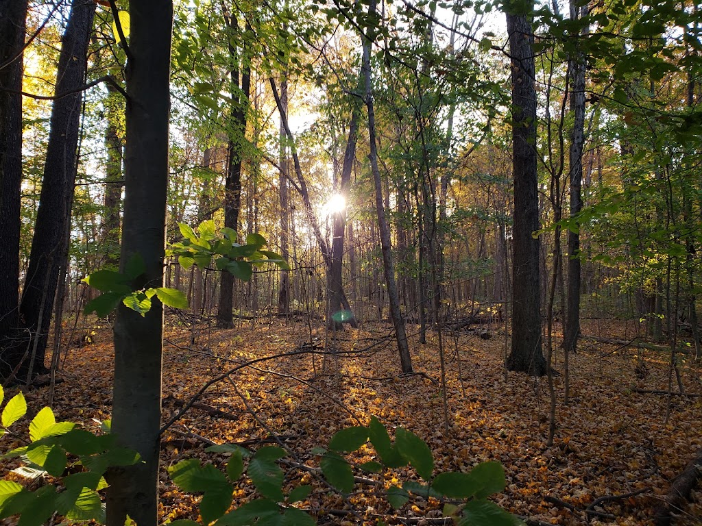 Hathaway Preserve At Ross Run - ACRES Land Trust | 1866 E Baumbauer Rd, Wabash, IN 46992, USA | Phone: (260) 637-2273