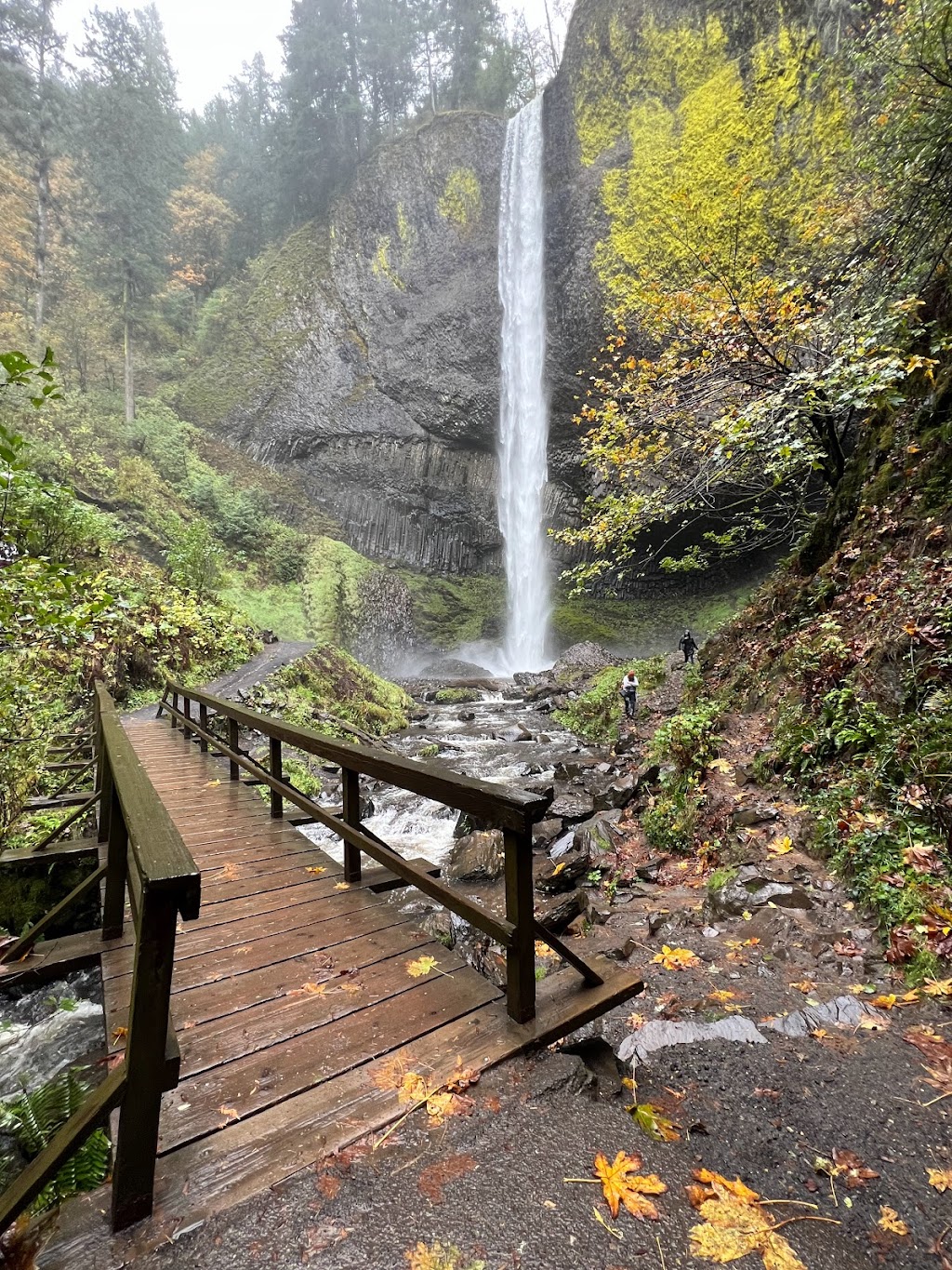 Latourell Falls Trailhead | Historic Columbia River Hwy, Corbett, OR 97019, USA | Phone: (503) 241-3762