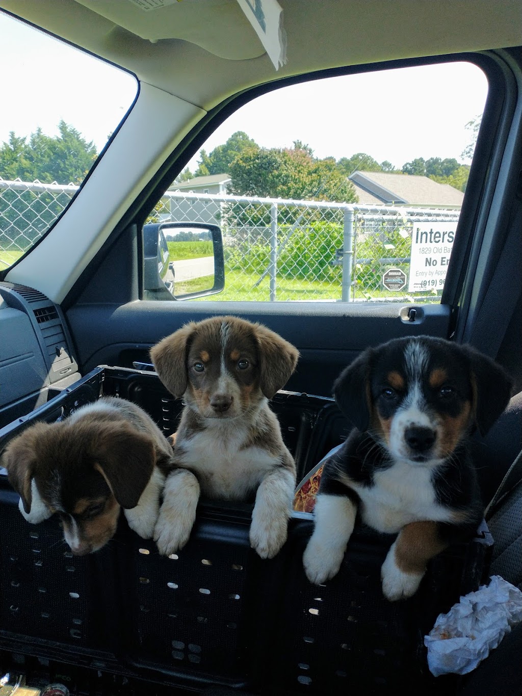 ALS Locksmith | 1829 Old Batten Rd, Selma, NC 27576, USA | Phone: (919) 609-4779