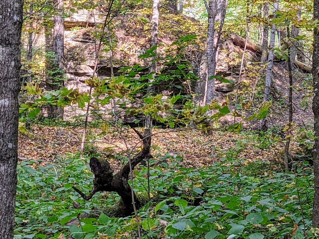 Standing Cedars State Natural Area | 728 Prospect Ave, Osceola, WI 54020, USA | Phone: (888) 936-7463