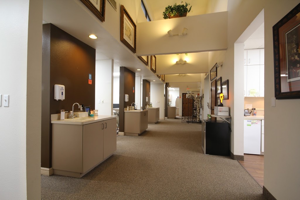 Ridgepointe Dental | 4200 Main St, The Colony, TX 75056, USA | Phone: (972) 625-4746