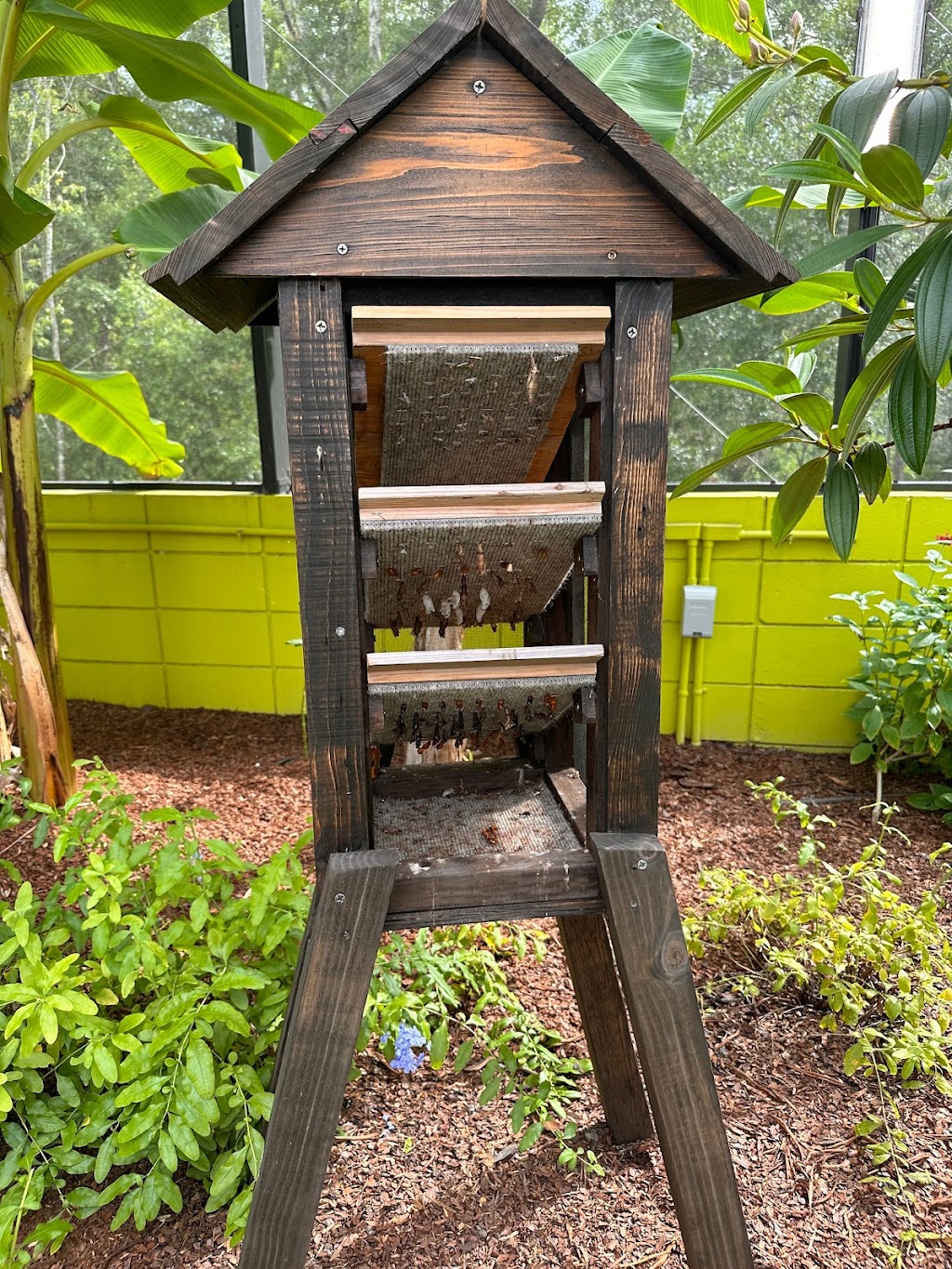 Zoey’s Butterfly House | 940 Bonnet Spgs Blvd, Lakeland, FL 33815, USA | Phone: (863) 732-7000