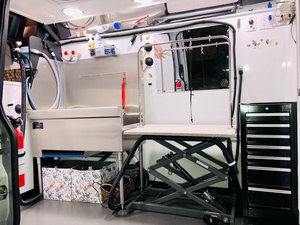 Zen Dog Mobile Spa | Albany, NY 12202, USA | Phone: (518) 944-5436