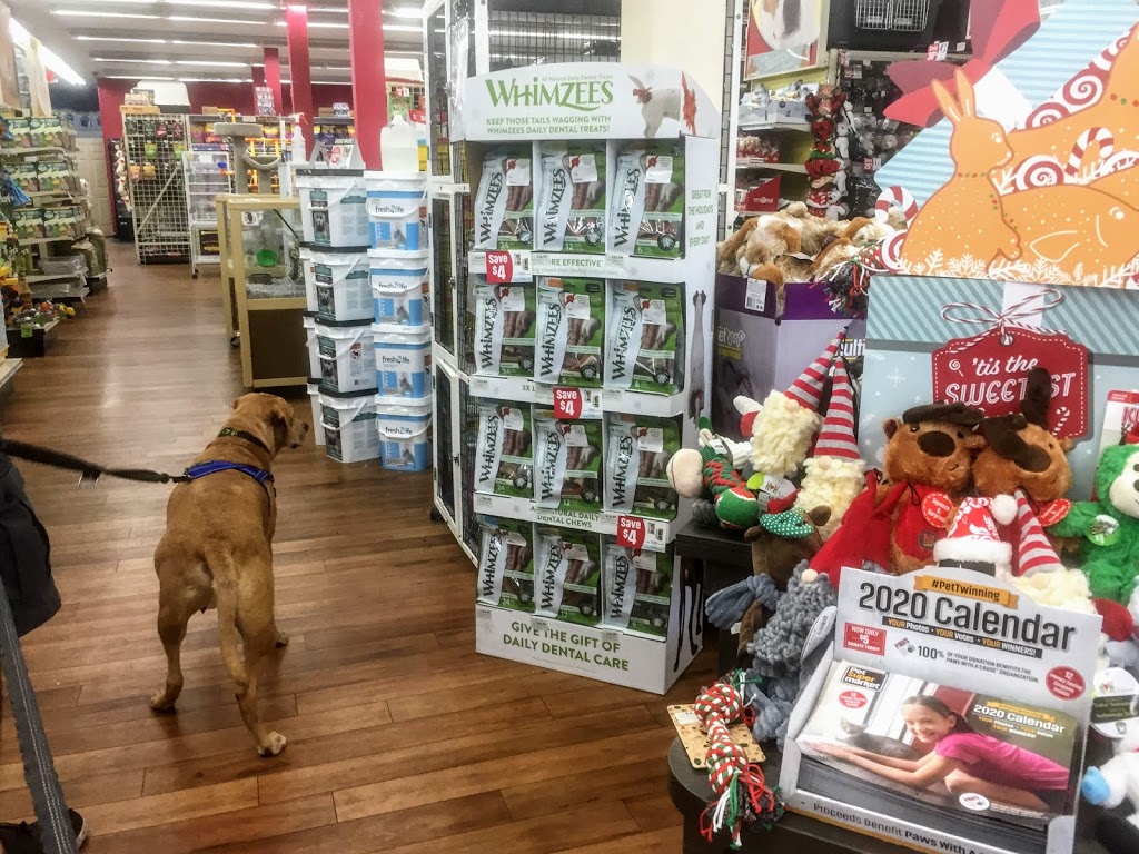 Pet Supermarket | 2111 N Federal Hwy, Hollywood, FL 33020, USA | Phone: (954) 925-1240