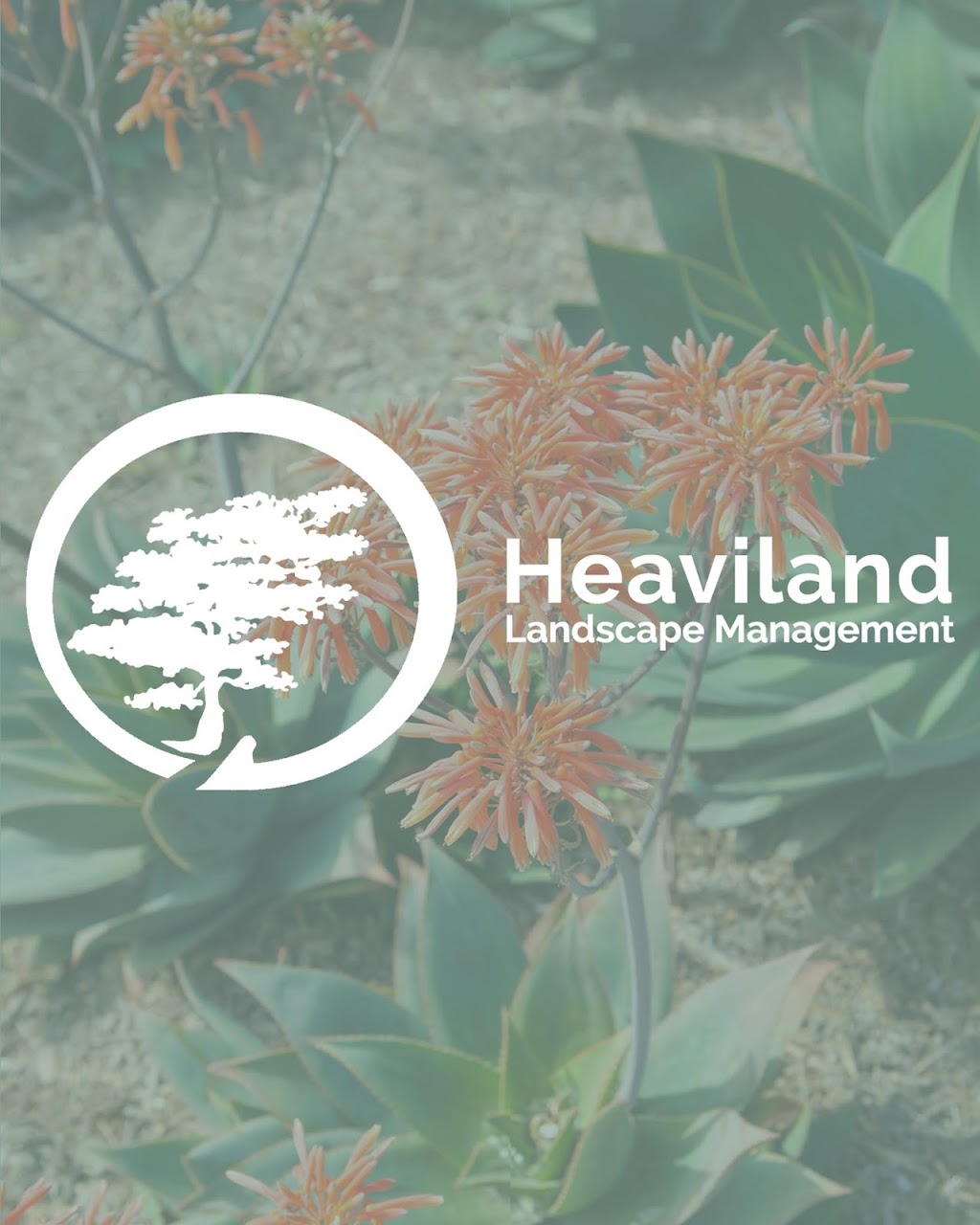 Heaviland Landscape Management | 2180 La Mirada Dr, Vista, CA 92081, USA | Phone: (760) 598-7065