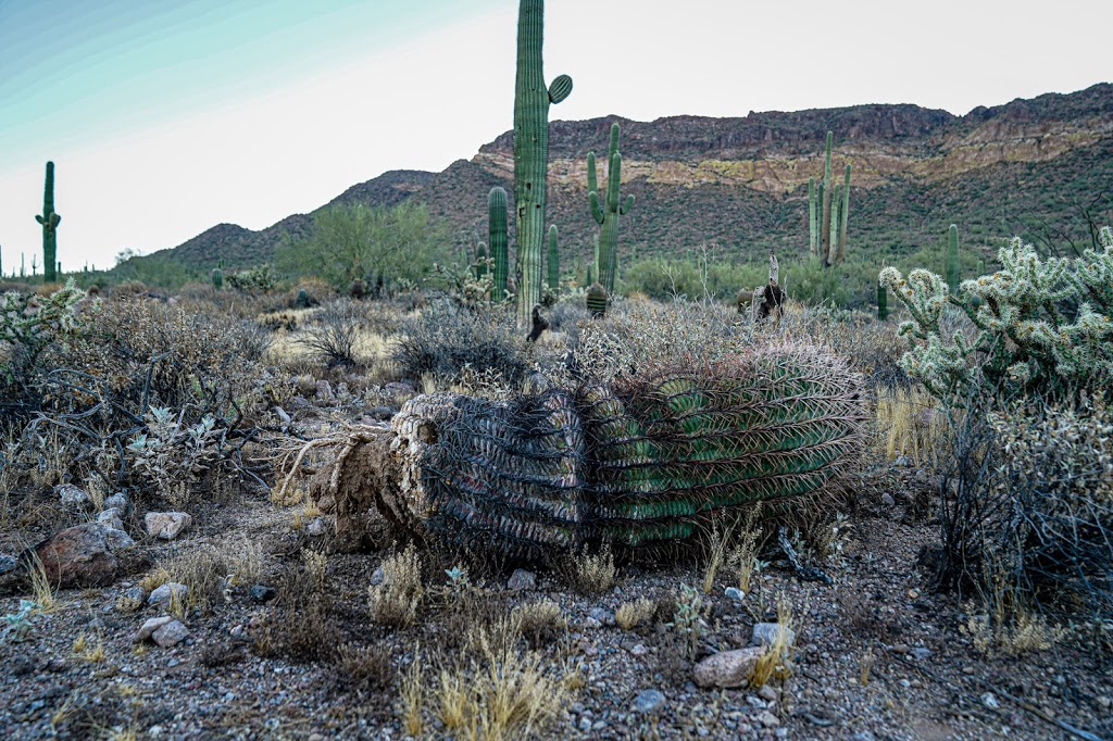 Wind Cave | Mesa, AZ 85207, USA | Phone: (480) 984-0032