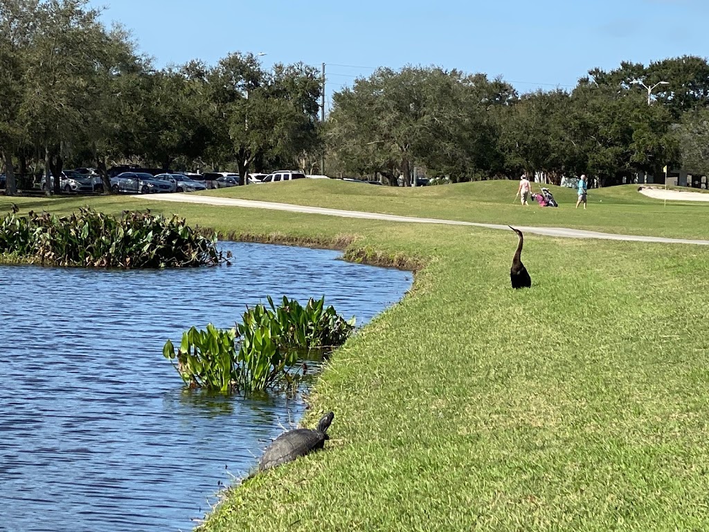 Mangrove Bay and Cypress Links Golf Courses | 875 62nd Ave NE, St. Petersburg, FL 33702 | Phone: (727) 893-7800