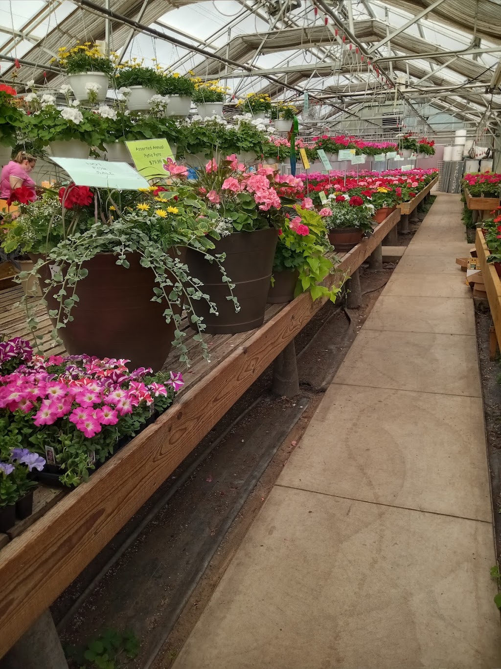 Hohman Floral And Greenhouses | 7048 Hohman Ave, Hammond, IN 46324, USA | Phone: (219) 931-9221
