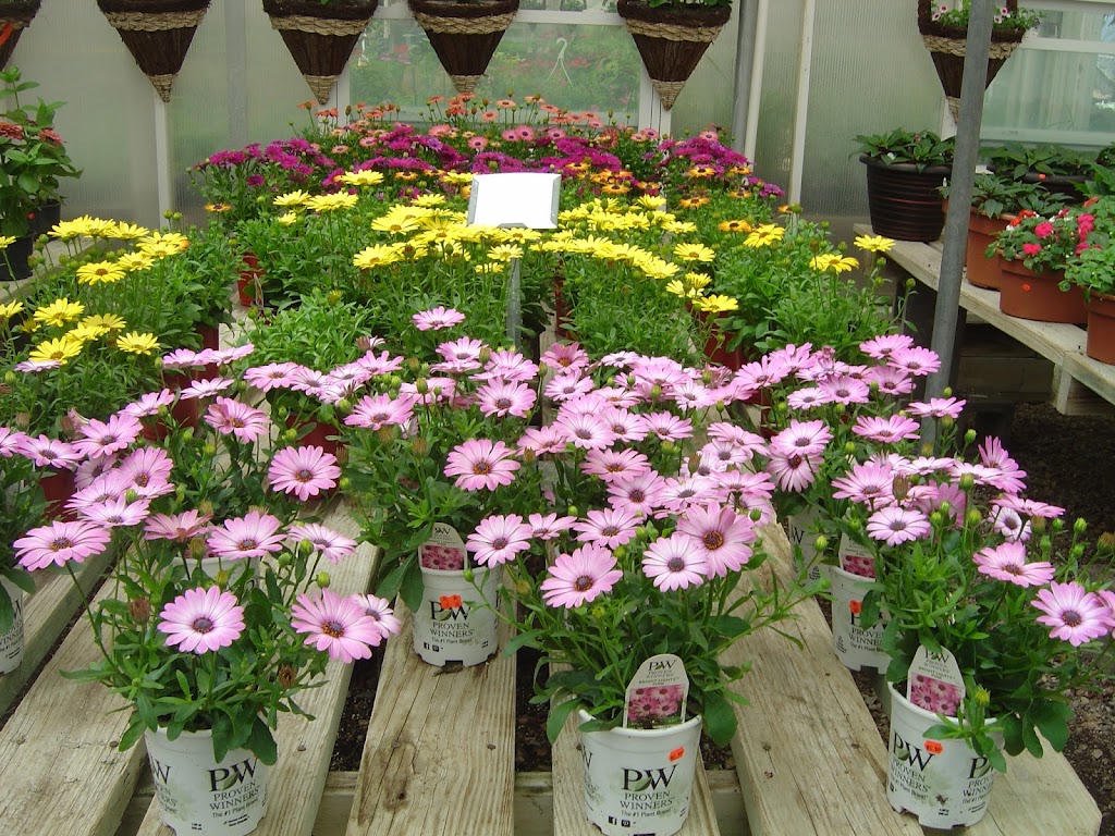 Dayton Flower & Garden Center | 4474 S Cleveland Massillon Rd, Norton, OH 44203, USA | Phone: (330) 825-4176