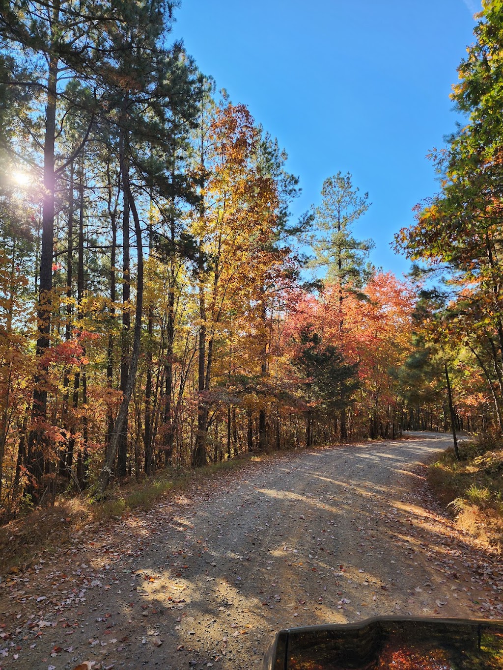 Cove Boat Ramp | 400 Cove Rd, New London, NC 28127, USA | Phone: (910) 576-6391