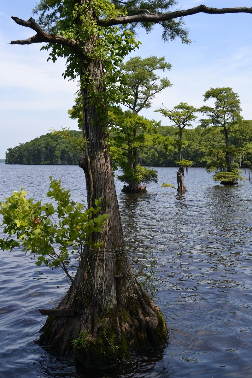 J. Robert Hendrix Park | 315 Cannons Ferry Rd, Tyner, NC 27980, USA | Phone: (252) 482-8595