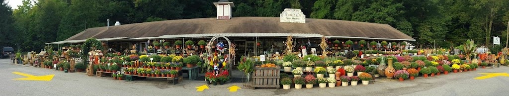 Auntie Els Farm Market | 171 NY-17, Sloatsburg, NY 10974, USA | Phone: (845) 753-2122