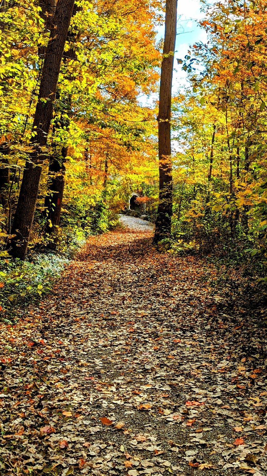 Akron Falls Park | 44 Parkview Dr, Akron, NY 14001, USA | Phone: (716) 542-2330