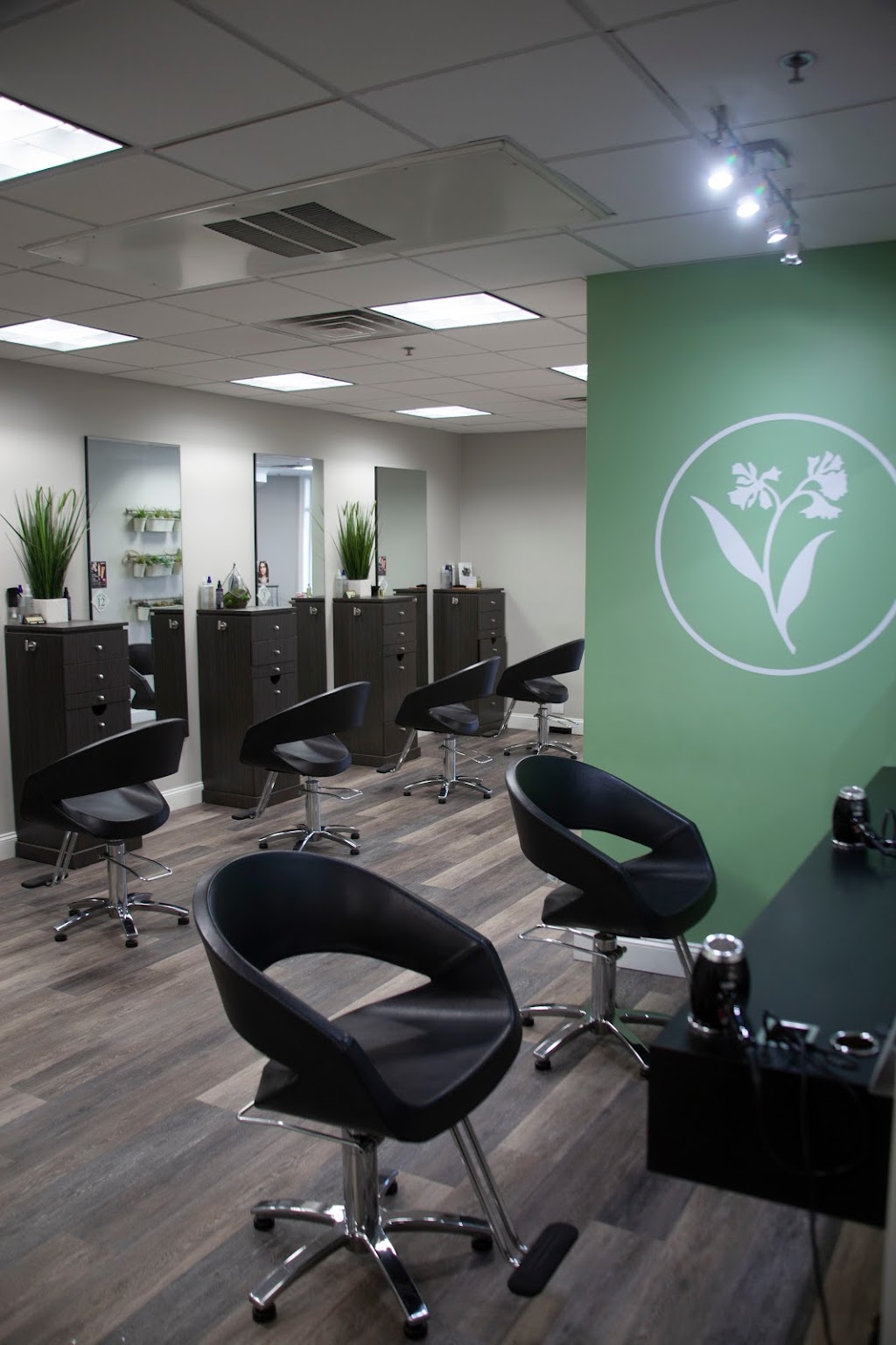 Salon Elan | 9 Summer St UNIT 102, Franklin, MA 02038, USA | Phone: (508) 520-7159