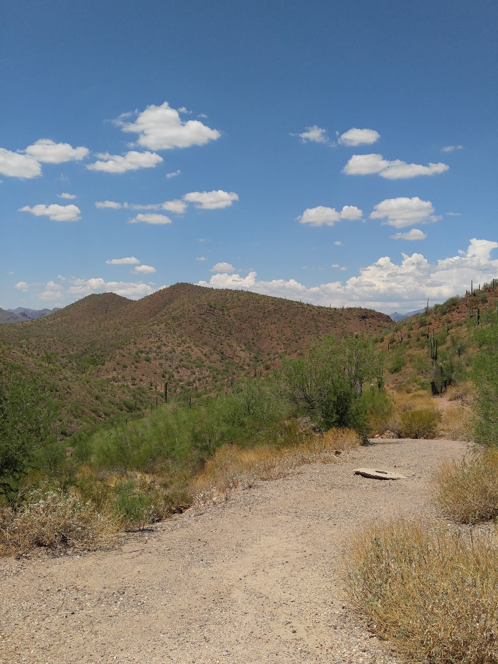 Pipeline Canyon Trail | N Park Rd, Morristown, AZ 85342, USA | Phone: (415) 297-2929