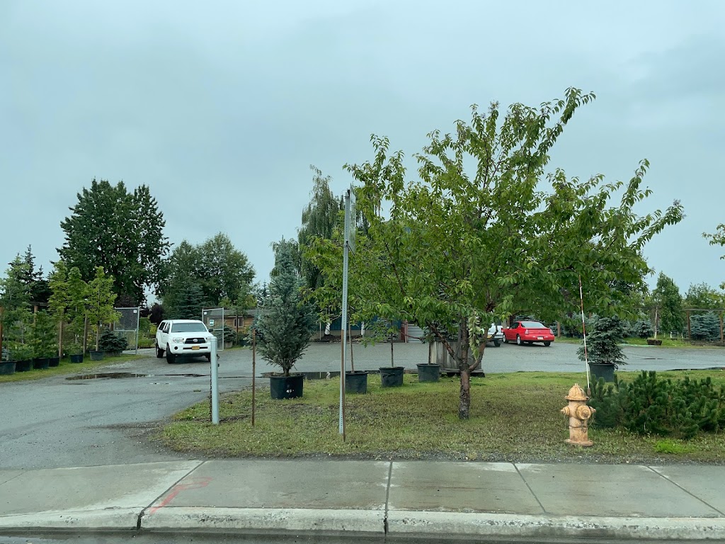 Arthur Campbell Nursery in 2610 Minnesota Dr, Anchorage, AK 99503, USA