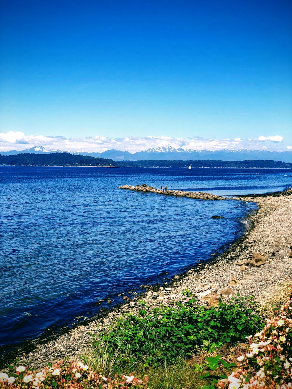 Cormorant Cove | 3701 Beach Dr SW, Seattle, WA 98116, USA | Phone: (206) 684-4075