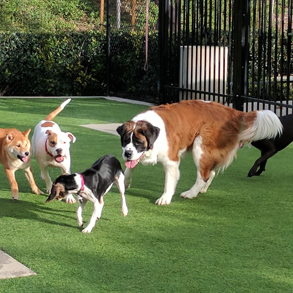 Barker Ranch Dog Park | 25650 Baffin Bay Dr, Lake Forest, CA 92630, USA | Phone: (949) 461-3452