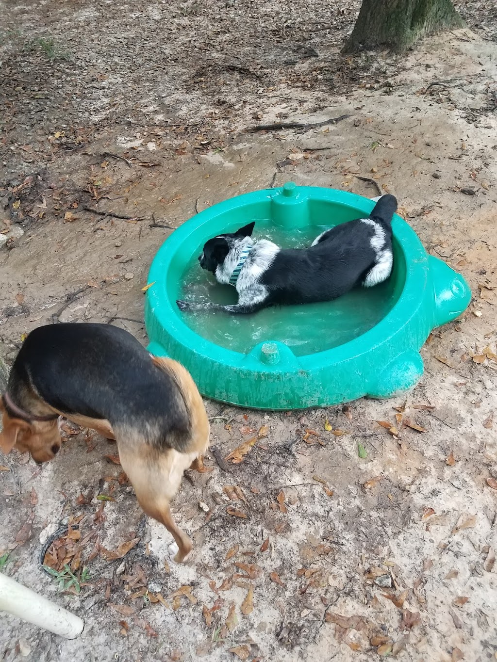 Peachtree City Dog Park | 193 McIntosh Trail, Peachtree City, GA 30269, USA | Phone: (770) 631-2542