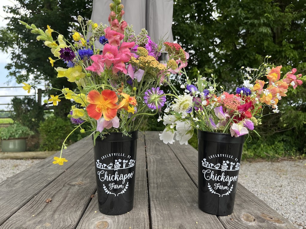 Chickapoo Farm-Country Escapes & Pick Your Own Gardens | 1167 Haley Rd, Shelbyville, KY 40065, USA | Phone: (502) 640-3033