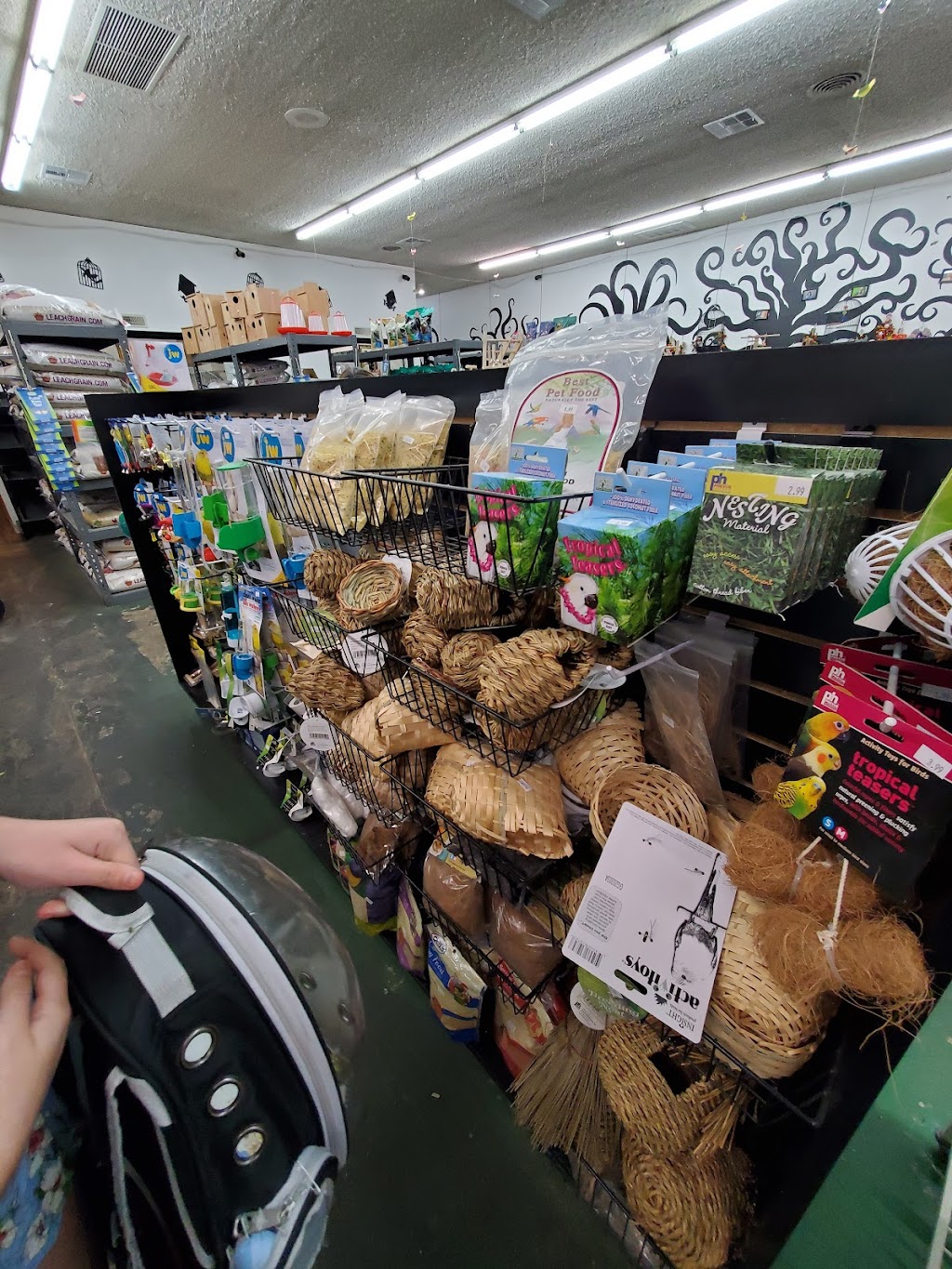 Canoga Discount Birds | 21731 Sherman Way, Canoga Park, CA 91303, USA | Phone: (818) 883-3007