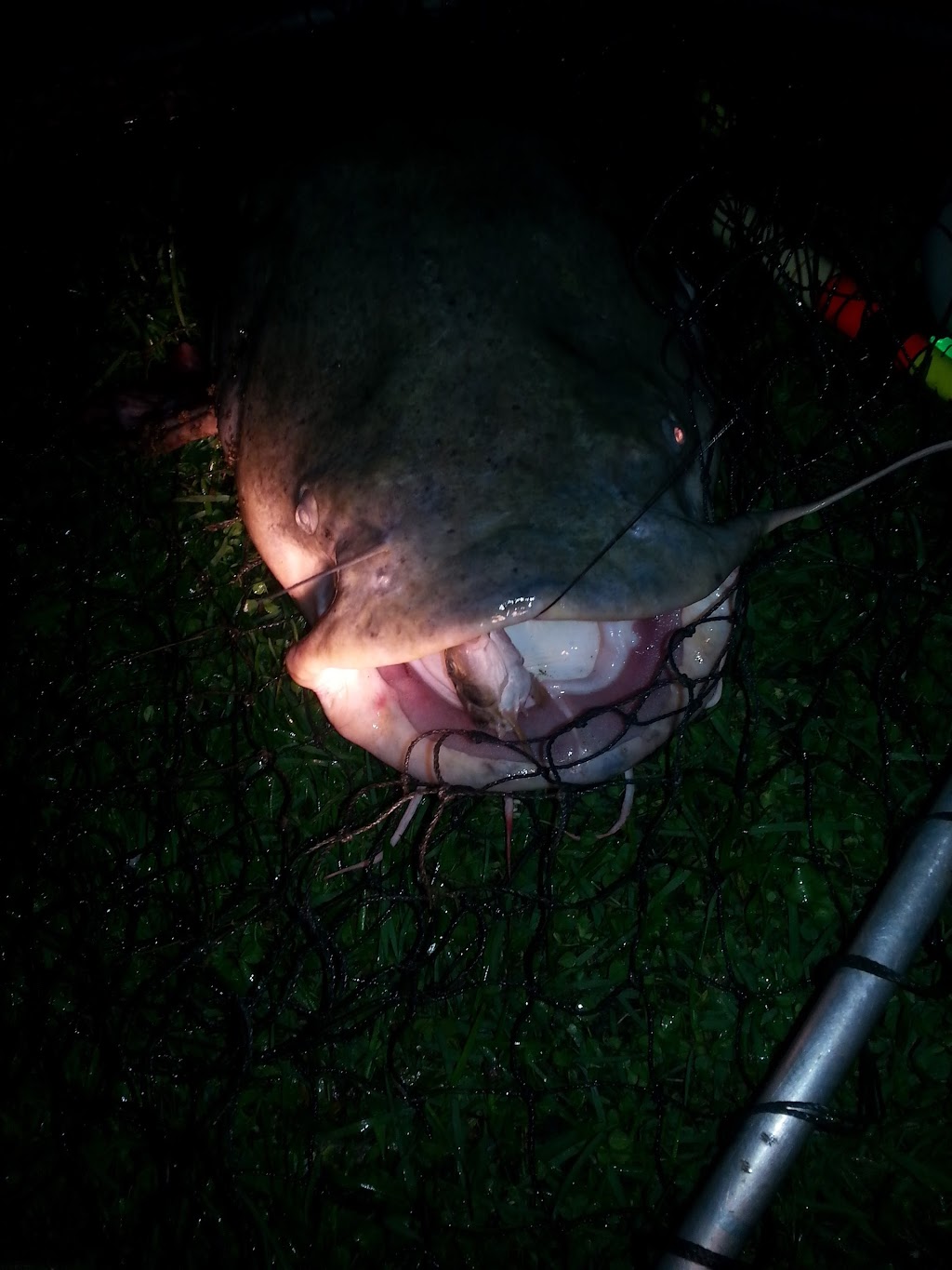 Hidy's Paylake, 348625 Hidy Rd NW, Jeffersonville, OH 43128