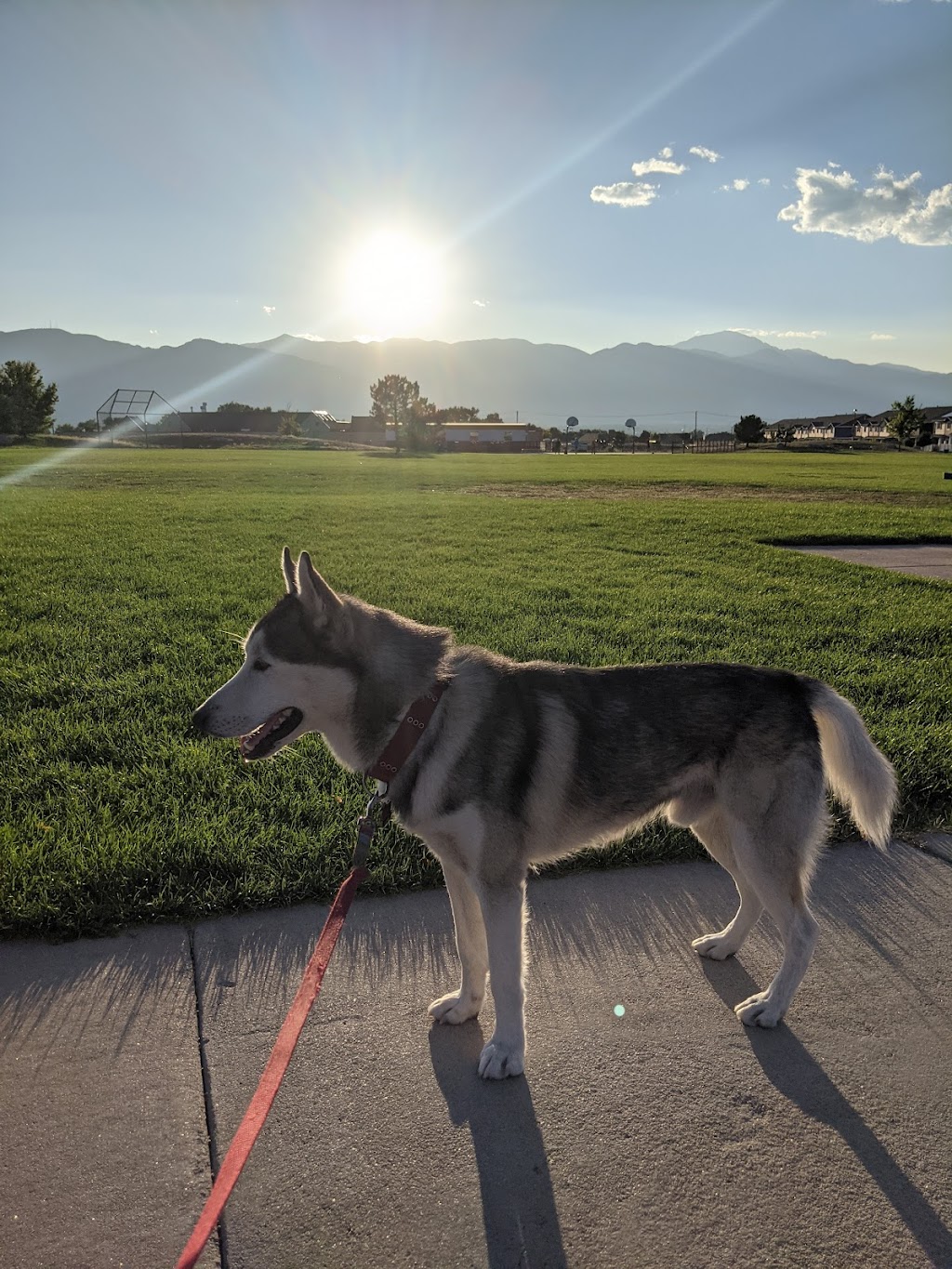 Soaring Eagles Park | 3196 Spotted Tail Dr, Colorado Springs, CO 80916, USA | Phone: (719) 385-5940