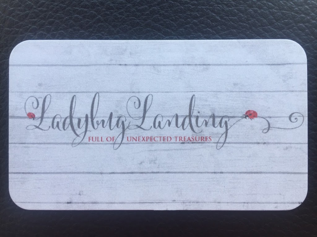 Ladybug Landing | 31 W Bijou Ave, Byers, CO 80103, USA | Phone: (303) 564-9851