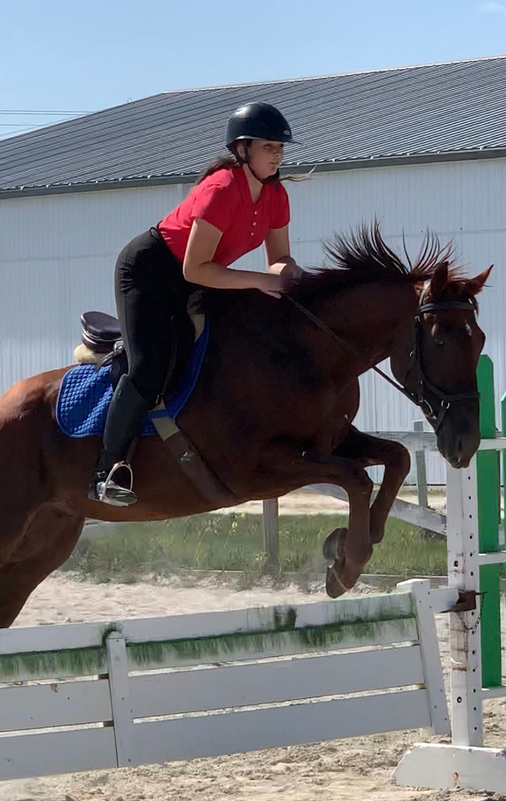 BakerHill Stables | 13750 W Bruns Rd, Manhattan, IL 60442, USA | Phone: (815) 277-9441