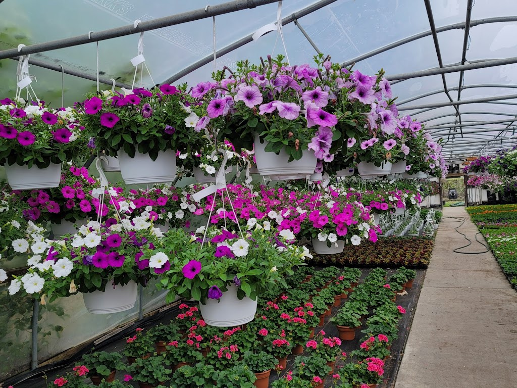 Westland Florist & Greenhouse | 34235 Ford Rd, Westland, MI 48185, USA | Phone: (734) 722-2540