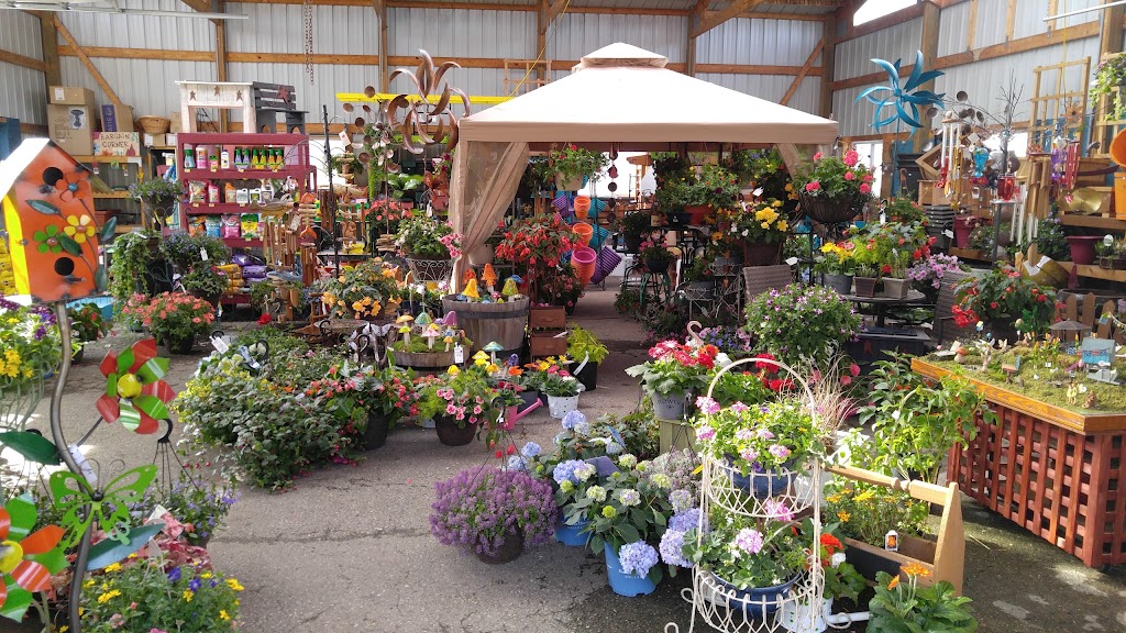 Koltes Garden Center | 902 N Main St, Lodi, WI 53555, USA | Phone: (608) 592-3331